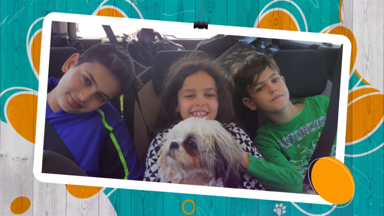 מצגת לבר מצווה חיית מחמד